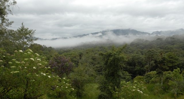 The view form Yanayacu