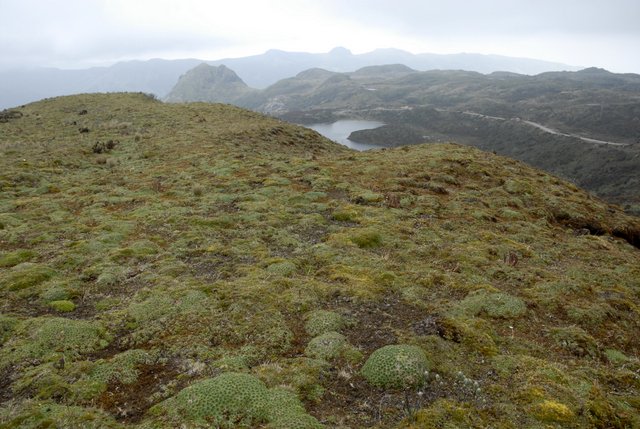 Paramo near Papallacta